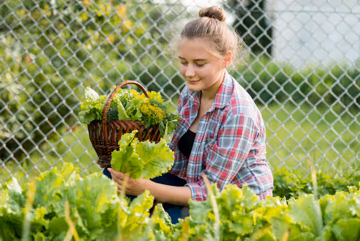 Organic Farming Explained: Knowledge, Suggestions & Practical Insights